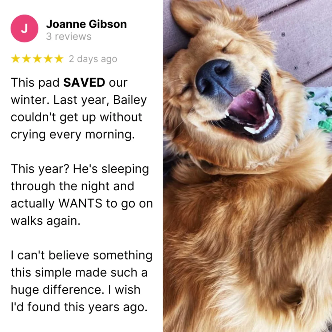 Self-Warming Pet Mat