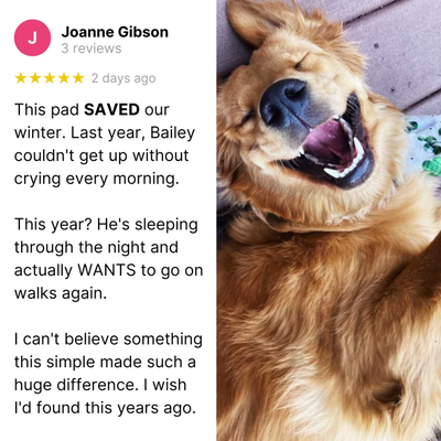 Self-Warming Pet Mat